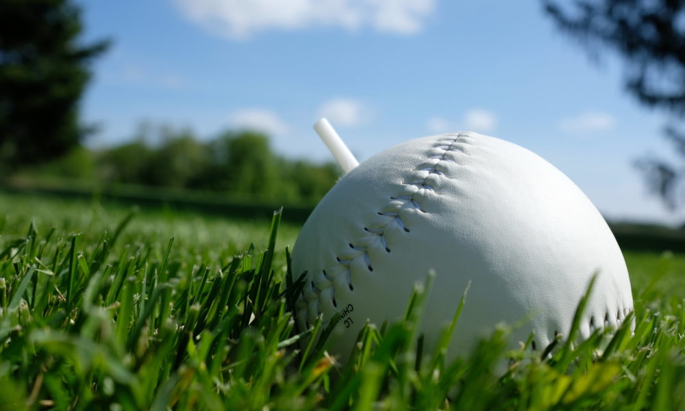 a close up image of a beepball laying in grass in front of trees