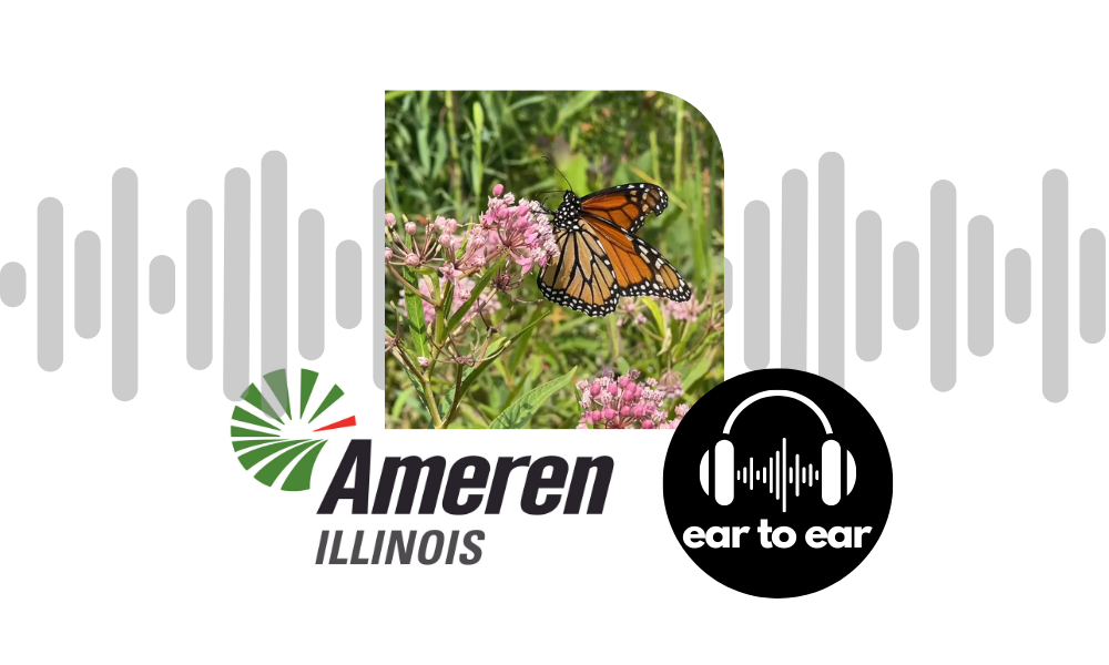 Ear to Ear – Ameren Pollinator Initiative