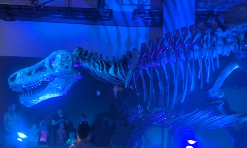 Magan’s Summer Access Suggestions! SUE: The T. rex Experience at the St. Louis Science Center.